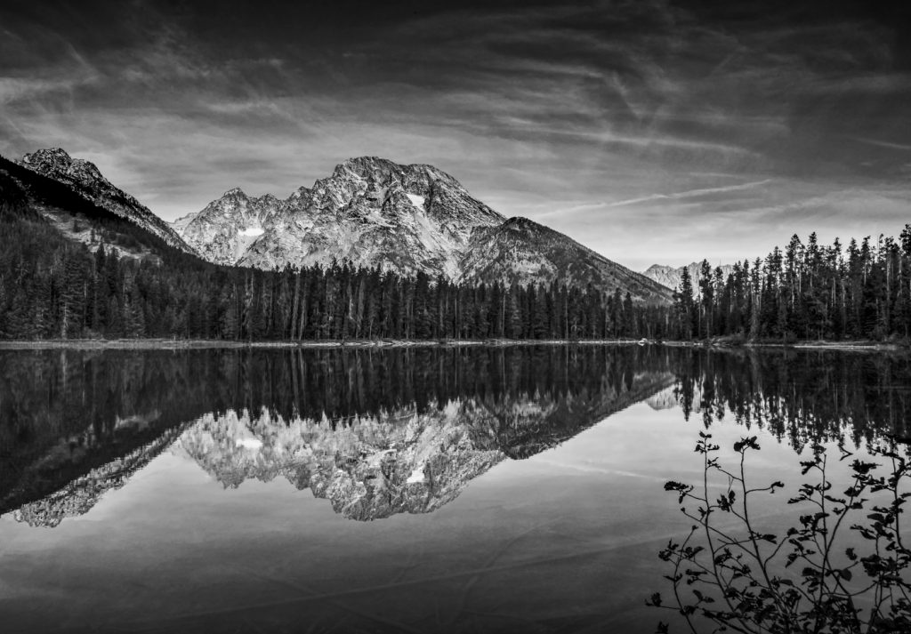 Placid - Sue Stendebach